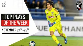 Kojima's Heroics Earn Albi a Vital Point! | Weekly Top Plays Compilation | Nov 24-25 | 2023 J.League