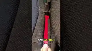 Adjustable Pet Safety Belt for Cars