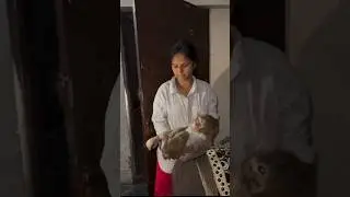 Subscribe please🙏 #animallovers #monkey #rescue #reels #shorts #youtubeshorts #rescueanimals #short