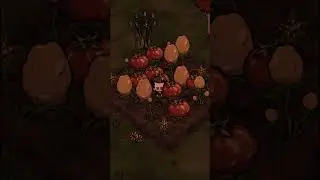 The Best Crop Plants DST OP #shorts #dontstarvetogether #dontstarvetogetherguide #dstgaming #dst