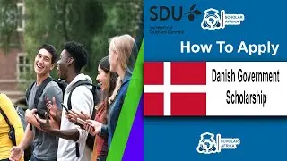 Danish Government Scholarship 2025