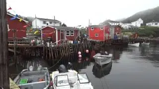 Harbour le Cou
