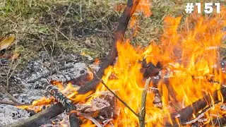 Появляется вор мандаринов, и я иду ему на помощь! Мне так холодно жить на этом бедном острове... ...