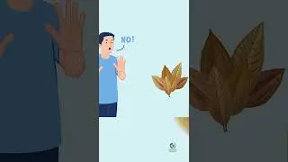 Myth #3: Is Cannabis Addictive? The Surprising Truth.