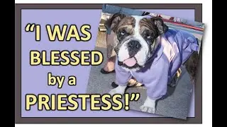 Interfaith Blessing of Animals Oct 2023 with The Goddess Temple of Orange County