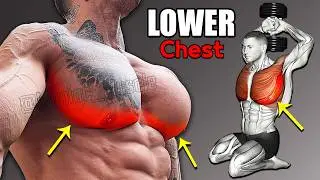 BEST LOWER CHEST Exercises ( Very effective )
