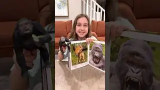 Сестры узнают о животных из книг 📚