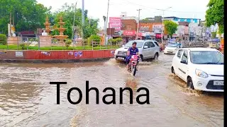 Tohana City