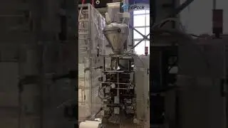 AF550 Auger + BOSCH VFFS | Elinpack Manufacturers