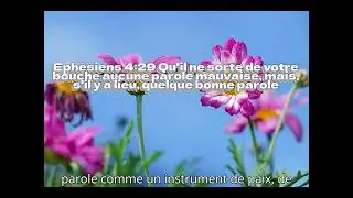 Que nos paroles deviennent des semences de paix
