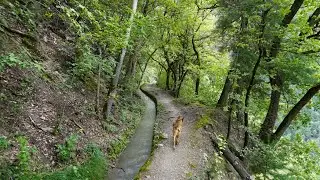 Bisse de Clavau aller-retour depuis parking Champlan, Sion, Valais, Suisse,01-08-2021