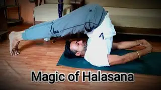 halasana and sarvangasana- 5 am yoga club