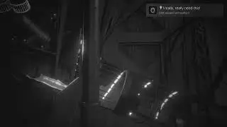 White Shadows Platinum