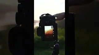 How to Avoid SUN FLARE In Your Photography