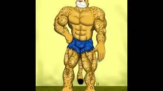 Best Transformations 1