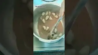 #jackfruit  | dead easy way to remove the skin of jackfruit seeds | #shorts
