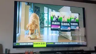 Iams Advanced Health🐕 2026 Commercial - Every Dog Can Be a Healthy Dog (:15)