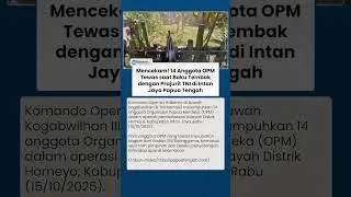 Detik-detik Prajurit TNI Tembak Mati 14 Anggota OPM di Intan Jaya Papua seusai Markas Direbut Aparat