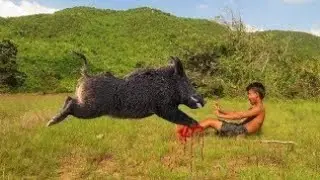 Amazing Quick Wild Pig Trap Using Snare Trap That Work 100% - Easy Wild Pig Trap