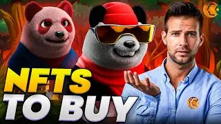 NFTs To Buy | Pandaq NFT Project Review | PandaQ Collection