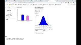 STAT 2100H: One proportion z test