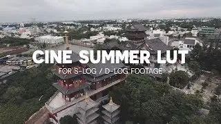 CINE SUMMER LUT for S-LOG/D-LOG footage