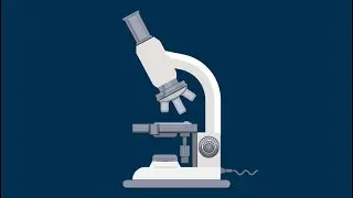 Transmission of Genetic Information