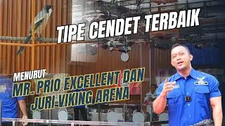 Kupas Tuntas Penilaian Cendet di Viking Arena Secara Menyeluruh