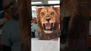Printing Lab in Tel Aviv. Sublimation, HD metal print with glossy finish. #art #wildlife #lion