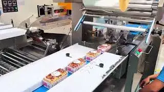 Automatic Snack Packaging Machine for Biscuits & Bread (Horizontal Reciprocating)