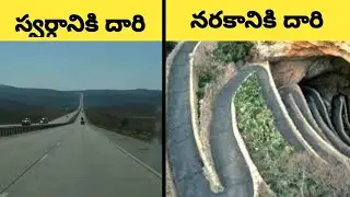 Interesting facts in telugu|Interesting facts|Fact'z buddy@|#facts #interestingfacts