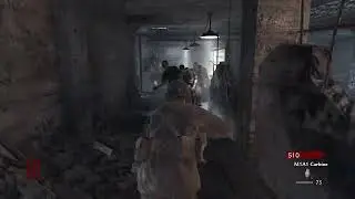 Playing cod waw on third person glitch