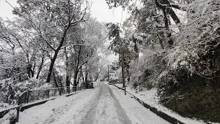 Kasauli covered in a blanket of snow 2022 | Snowfall in Kasauli