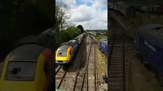 Intercity 125 at the Colne Valley railway