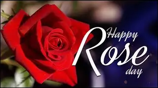 Happy Valentine&rsquo;s Day (  Happy Rose Day )#14 February 2019# whatsapp status video#