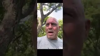 Joe Rogan got tested Covid Positive. Watch as he updates on his health and Covid treatment