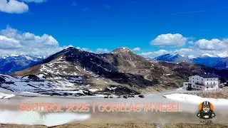 Südtirol 2025 | Gorillas im Nebel | BMW R 1250 GS