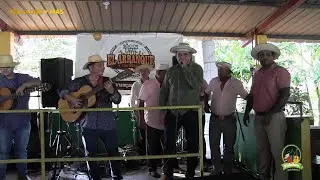 FIESTA DE RICHARD RODRIGUEZ CANTADERA TORRENTE MESANO
