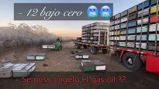 Se nos congelo la Avant y no arranca !!!  12 grados bajo cero . Viajando a la patagonia