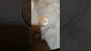 #penny 2009 D professional life #coin