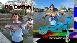 How to catch big Catfish off a dock (rigs, bait, help for catfishing)