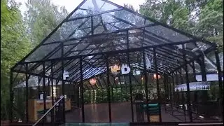 Rainy Forest dew 360&deg;