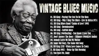 Top 10 best songs of the legendary B.B.King | OLD SCHOOL BLUES MUSIC [Playlist]