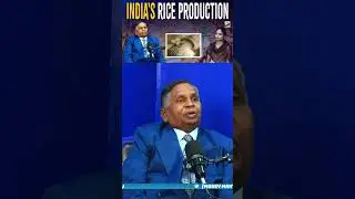 INDIA'S RICE PRODUCTION MMTV|Money Mantan TV|MONEY MANTAN TV