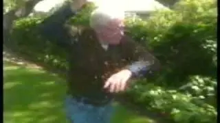 Attack of Killer Bees!!