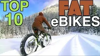Top 10 Fat Tire Electric Bikes