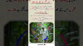 A Beggar Asked a Dog a Question | Deep Moral Lesson | Rehmani Writes #shortsfeed #viral short #faith