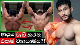 මුළු ශරීරයම සැනින් නිරෝගී කරන රහස් ව්‍යායාමය, ඕනෑම වයස කෙනෙකුට කළ හැක! 