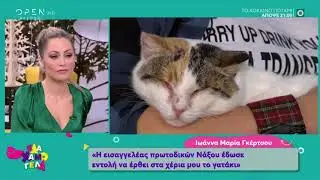 Υιοθετήθηκε το τυφλό γατάκι που είχε κακοποιηθεί από παιδιά στην Φολέγανδρο - Έλα χαμογέλα | OPEN TV
