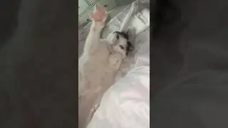 Ggrr🐾 | Dame un Grr | #tiktok #trend #viral #shorts